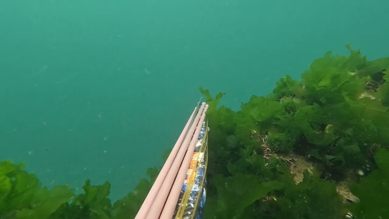 Marmara da sivri burun Karagöz avı 👍🐟💙❤️