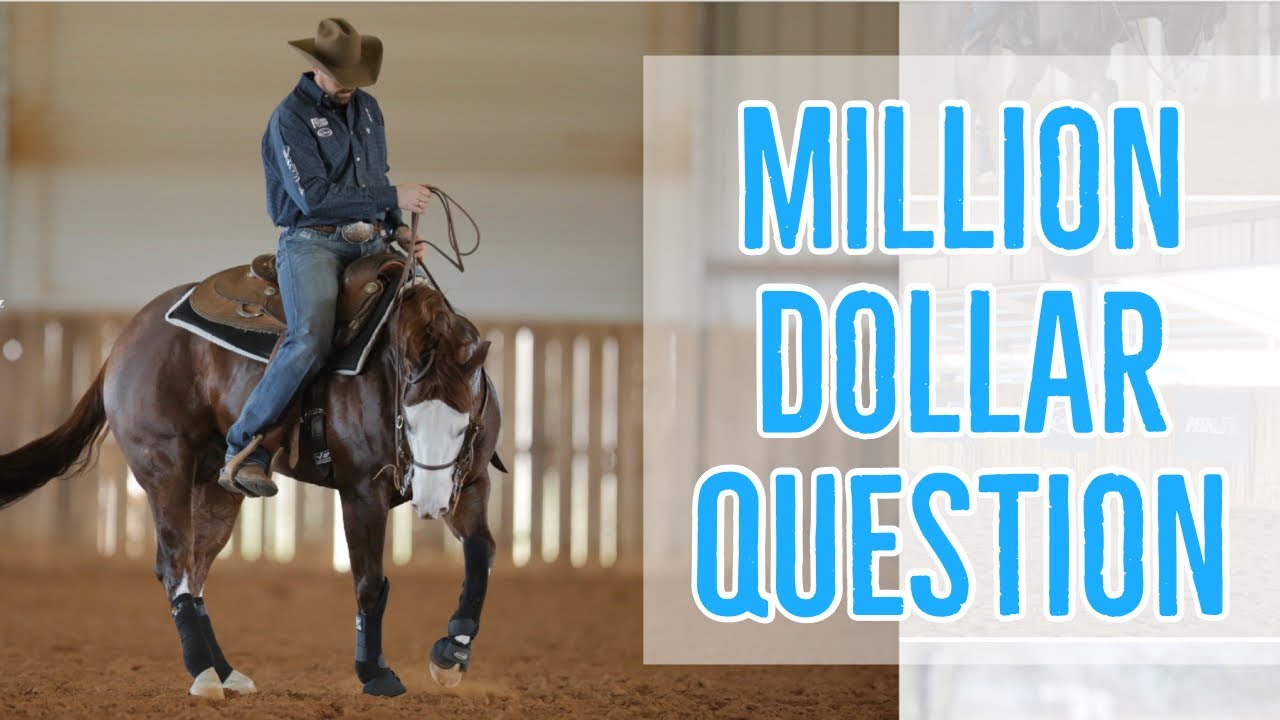 How To Make Your Horse Spin On The Correct PIVOT FOOT - The MILLION DOLLAR Question ANSWERED!