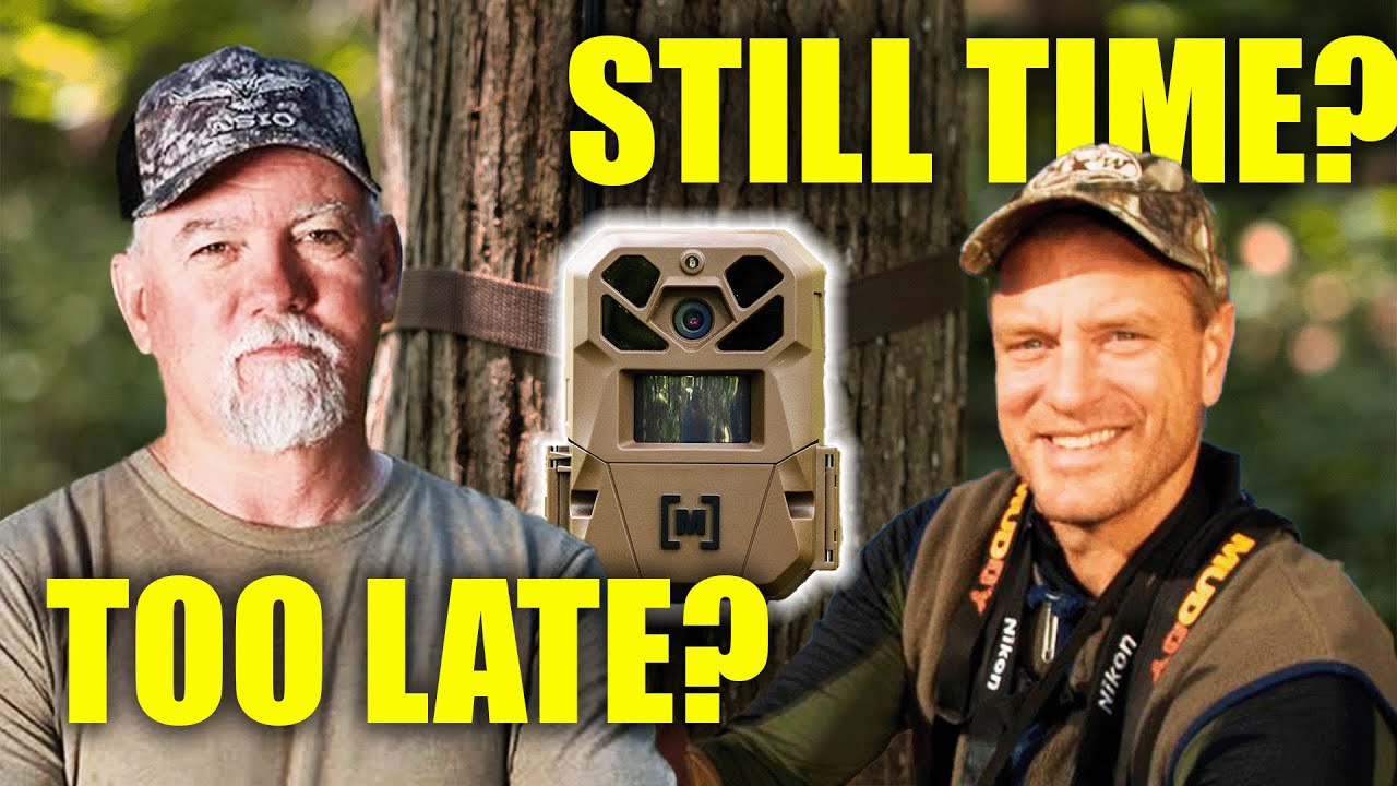 Summer Trail Cameras? Here’s What 8 Deer Experts Say to Do Now