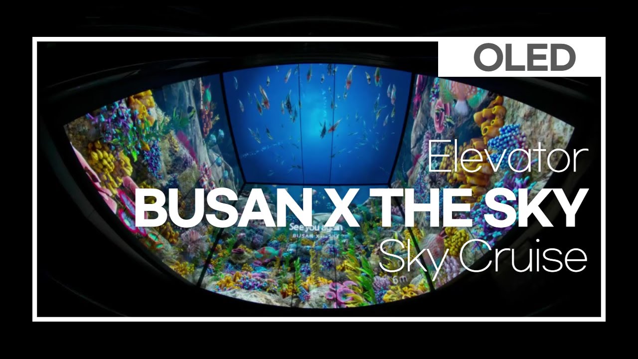Busan X The Sky E V