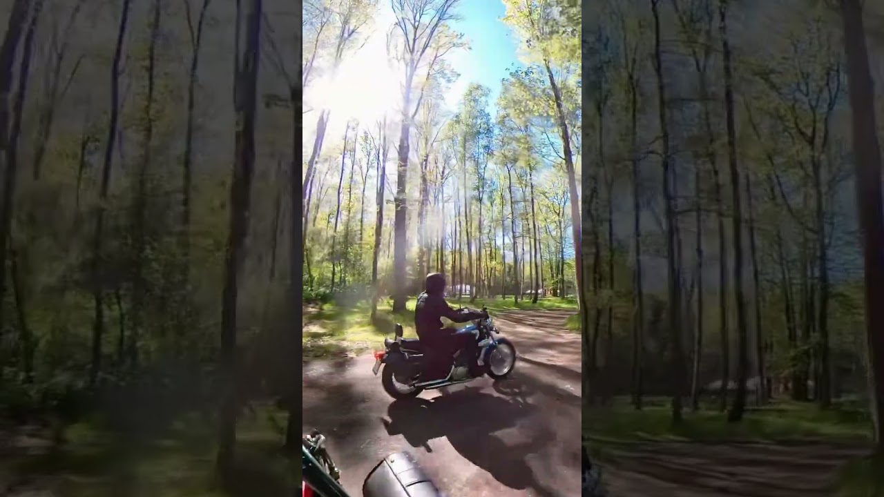 Forest trip 