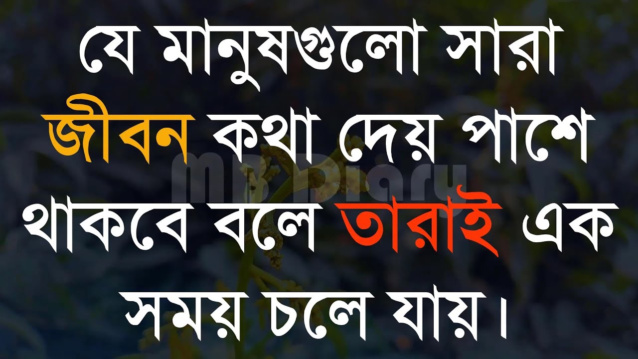 যে মানুষগুলো সারা জীবন কথা দেয় পাশে -Life Changing Motivationa l Monishider Bani Kotha MB Diary