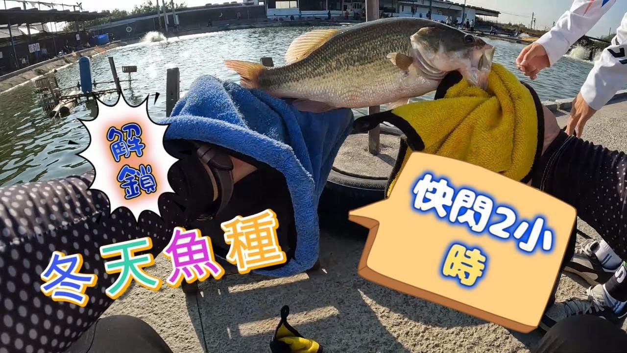 今天搞個快閃 瑞生海釣場伸港場解鎖冬天魚種