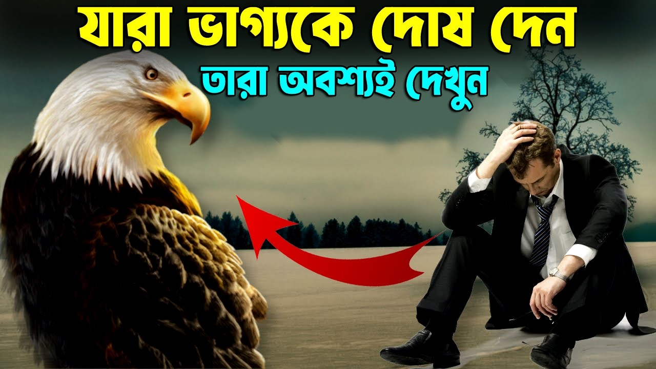 যারা ভাগ্যকে দোষ দেন তারা শুনুন ! When A Man Became Eagle ! Life Changing Motivational Story 2026