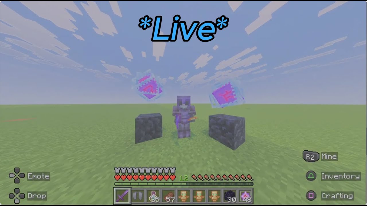 *LIVE* Dount SMP grinding money | Cpvp/pvp