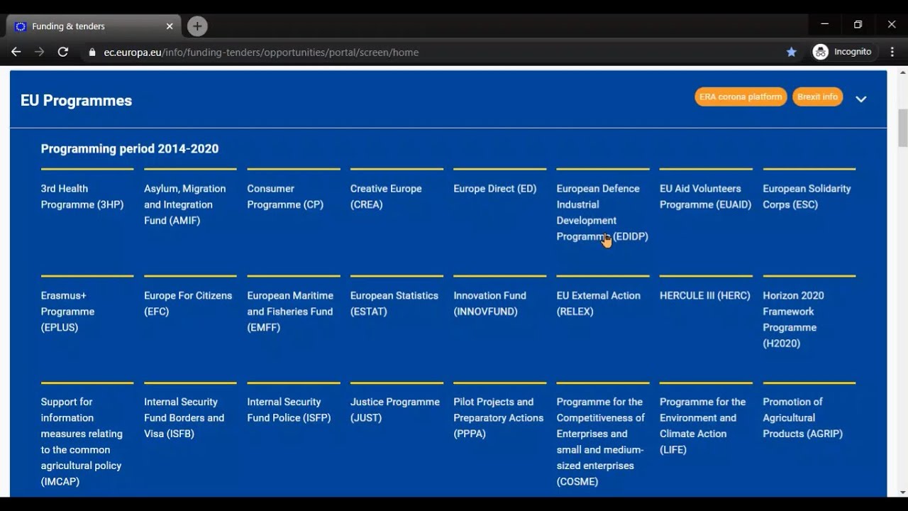 How to register in the EU Funding and Tenders Portal