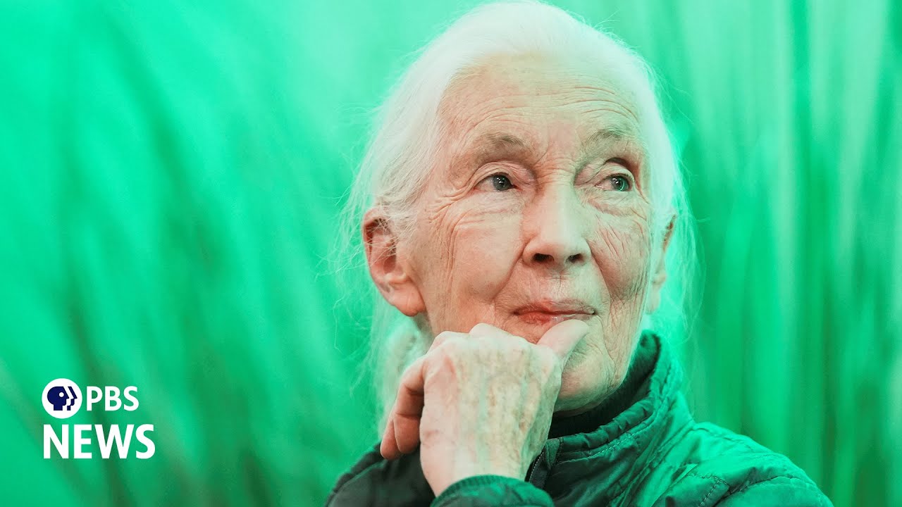 WATCH LIVE: Primatologist Jane Goodall honored at Washington National Cathedral memorial service