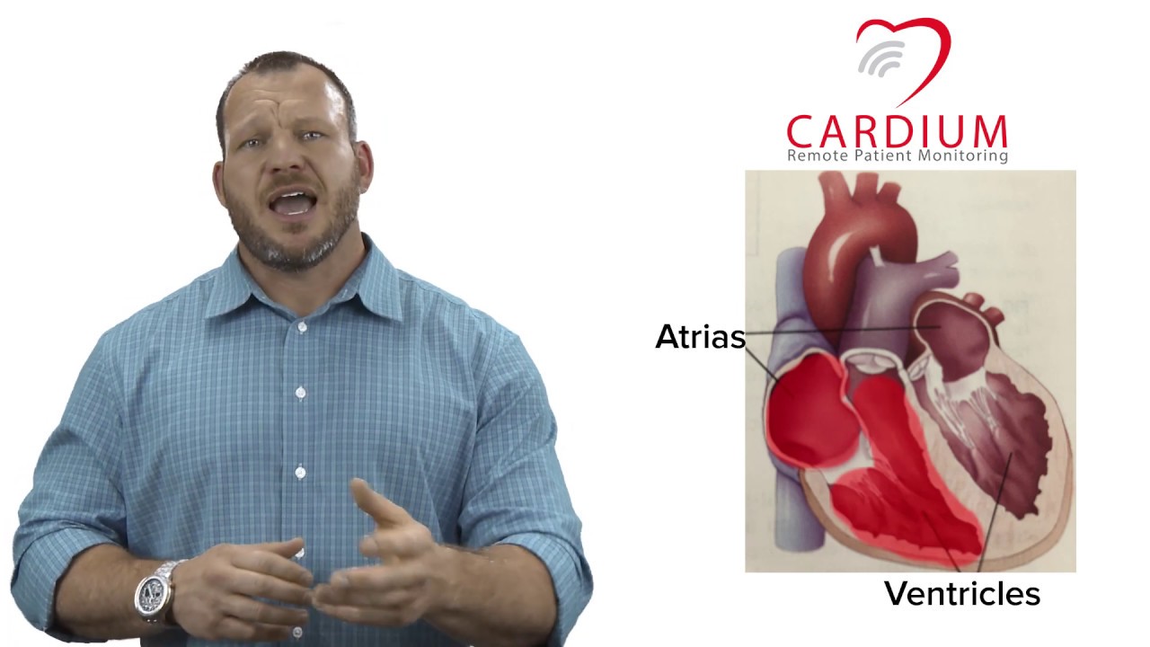 What is Ejection Fraction?