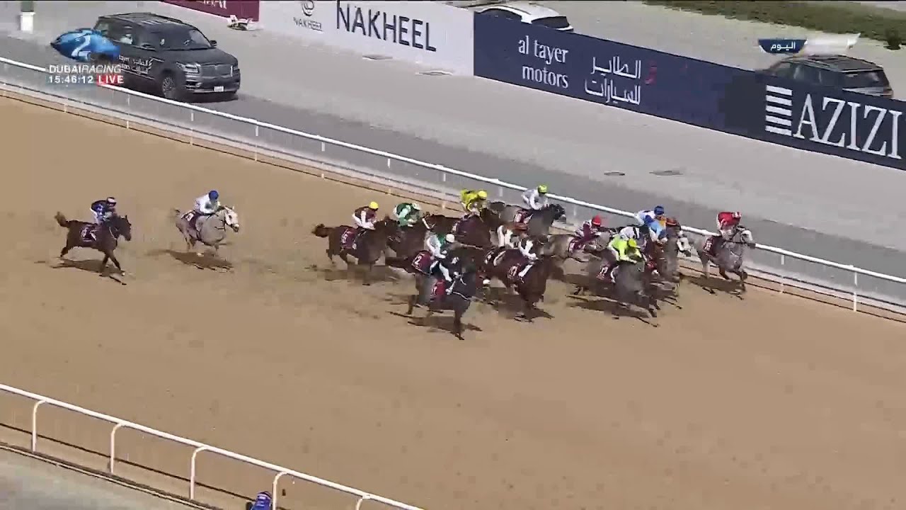 كأس دبي العالمي | إنطلاق أول الأشواط  شوط كحيلة  كلاسيك