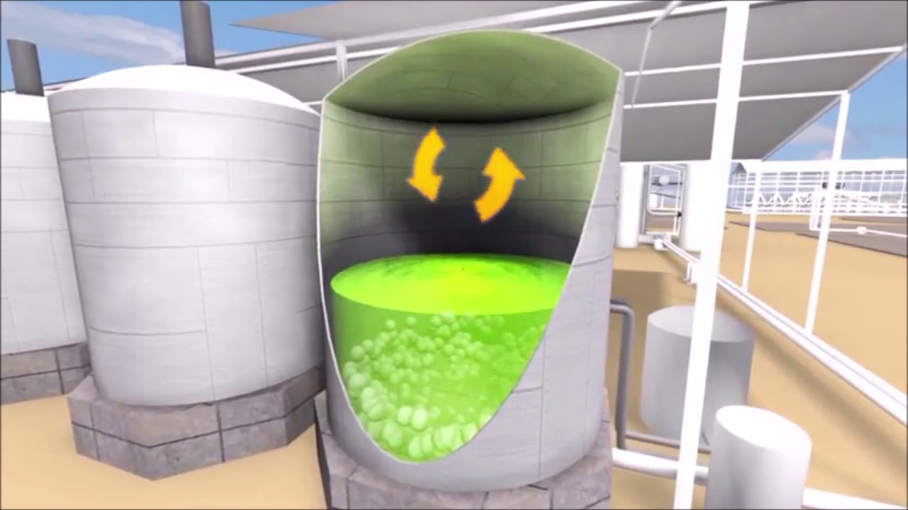 Bioenergy production -  Presentation