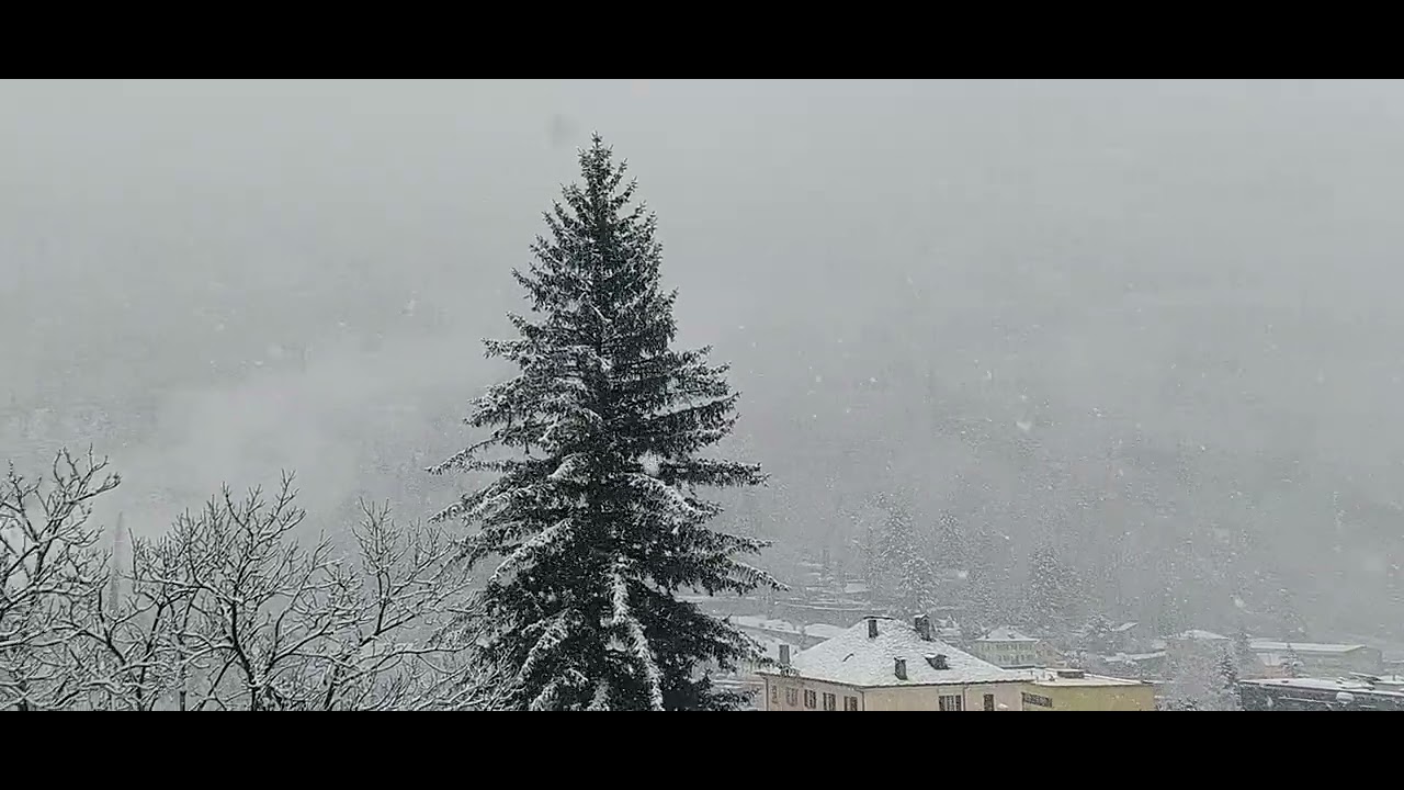 хорошая  для своих. Швейцария.