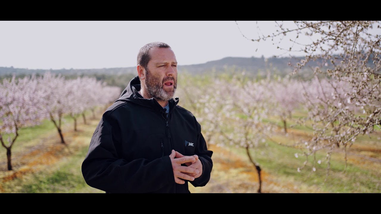 Sisco Esquerda | Cap Sectorial de la fruita seca de JARC
