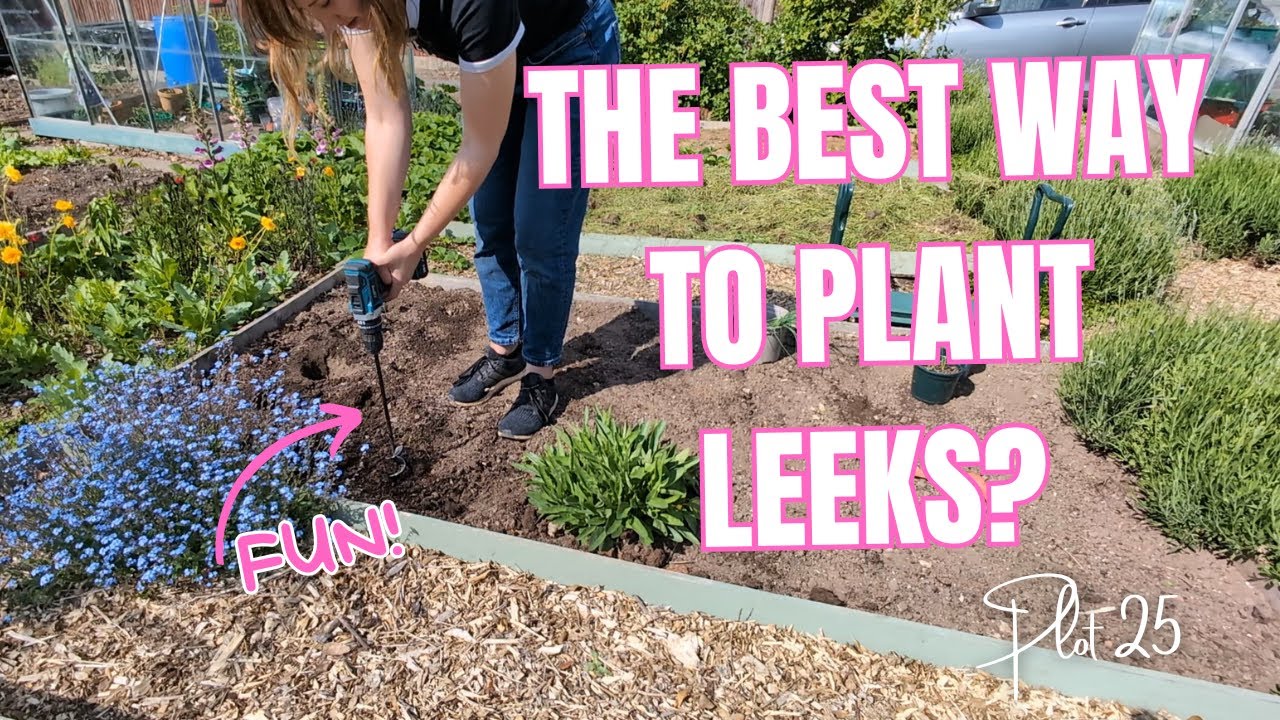 Planting out leeks and a perennial bed makeover! || Allotment Gardening UK
