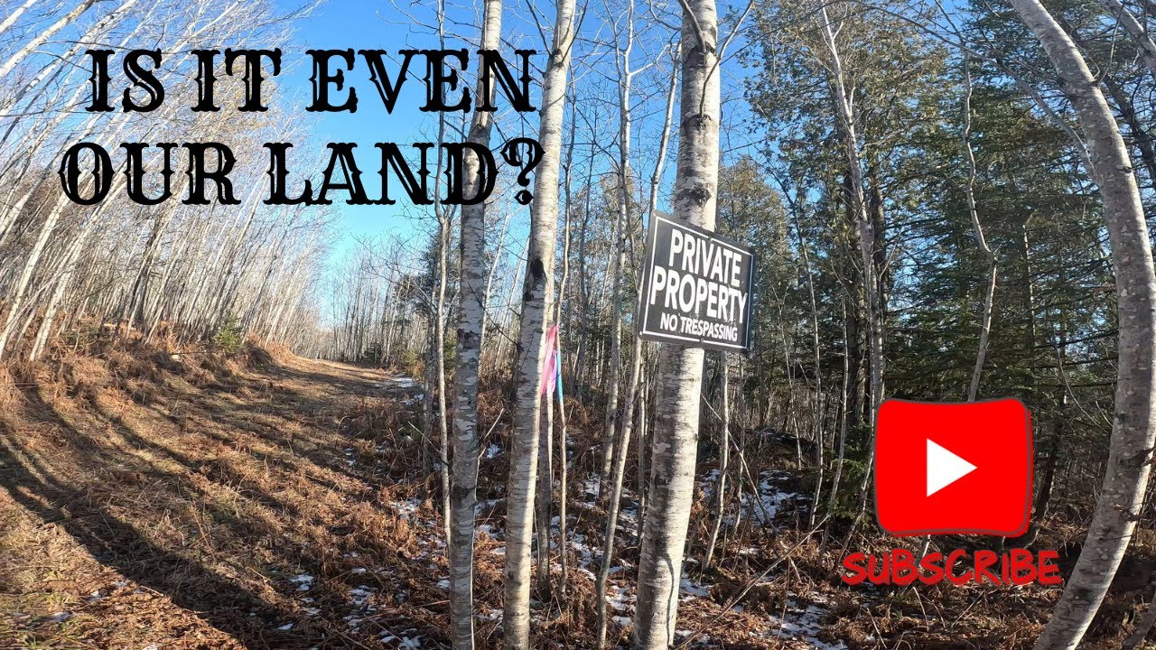 Neighbor surveyed the property line to prove us wrong! What is even our land?!