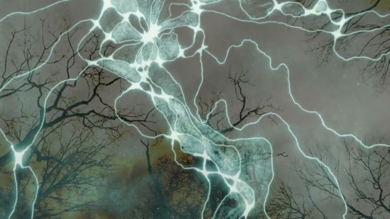 NEUROPHON episode 01, neurographic of pain