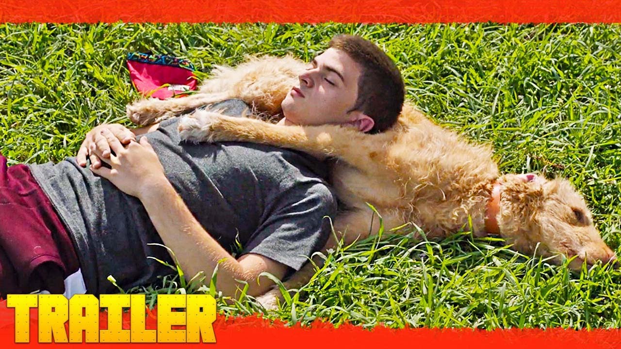 Diecisiete (2019) Netflix Tr&aacute;iler Oficial Espa&ntilde;ol