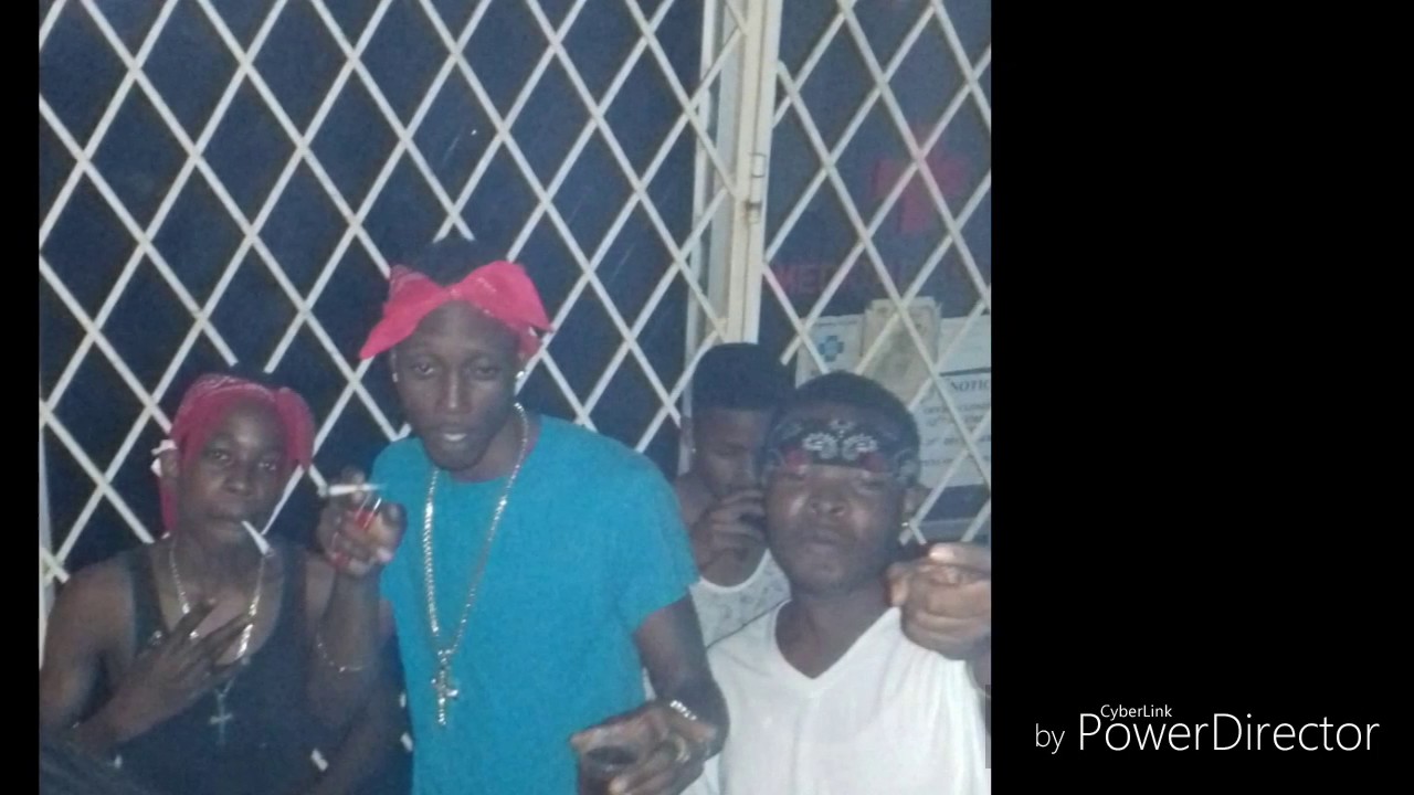 Shell (party yah shell)