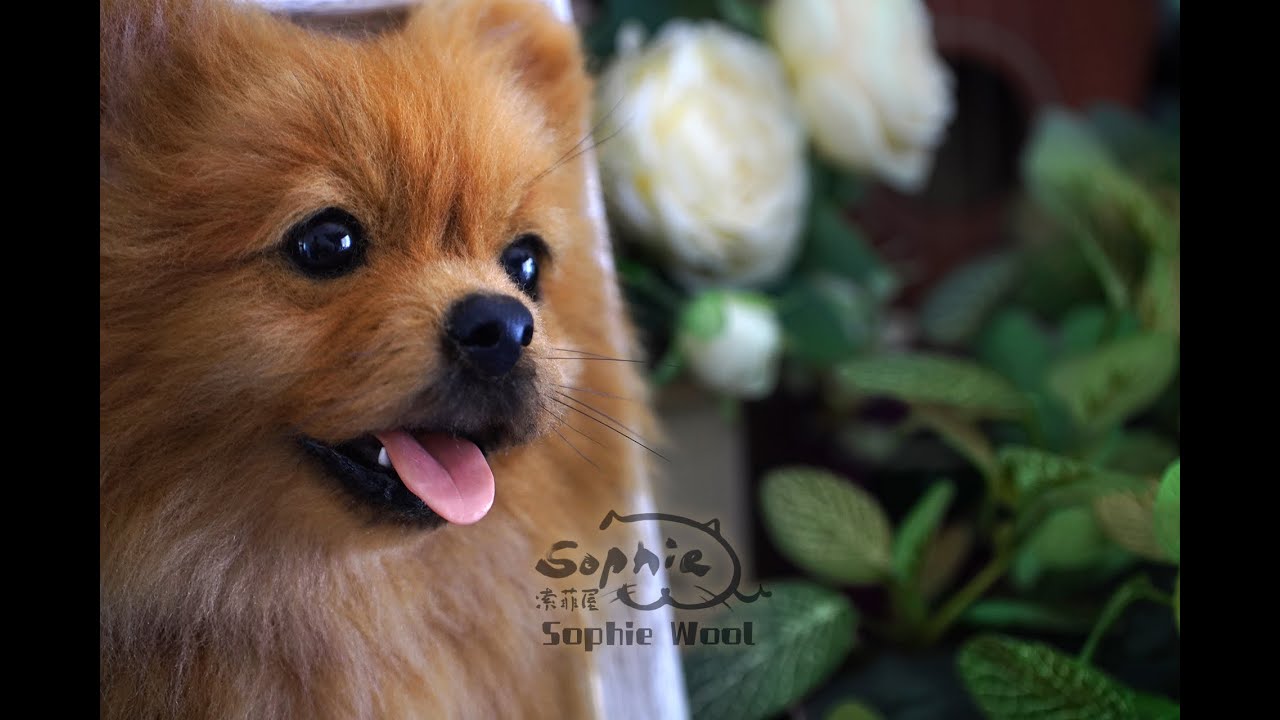 Померанский шпиц【Sophie Wool】ручной работы ремесло валяная игла шерсть реалистичный Кот собака 2024
