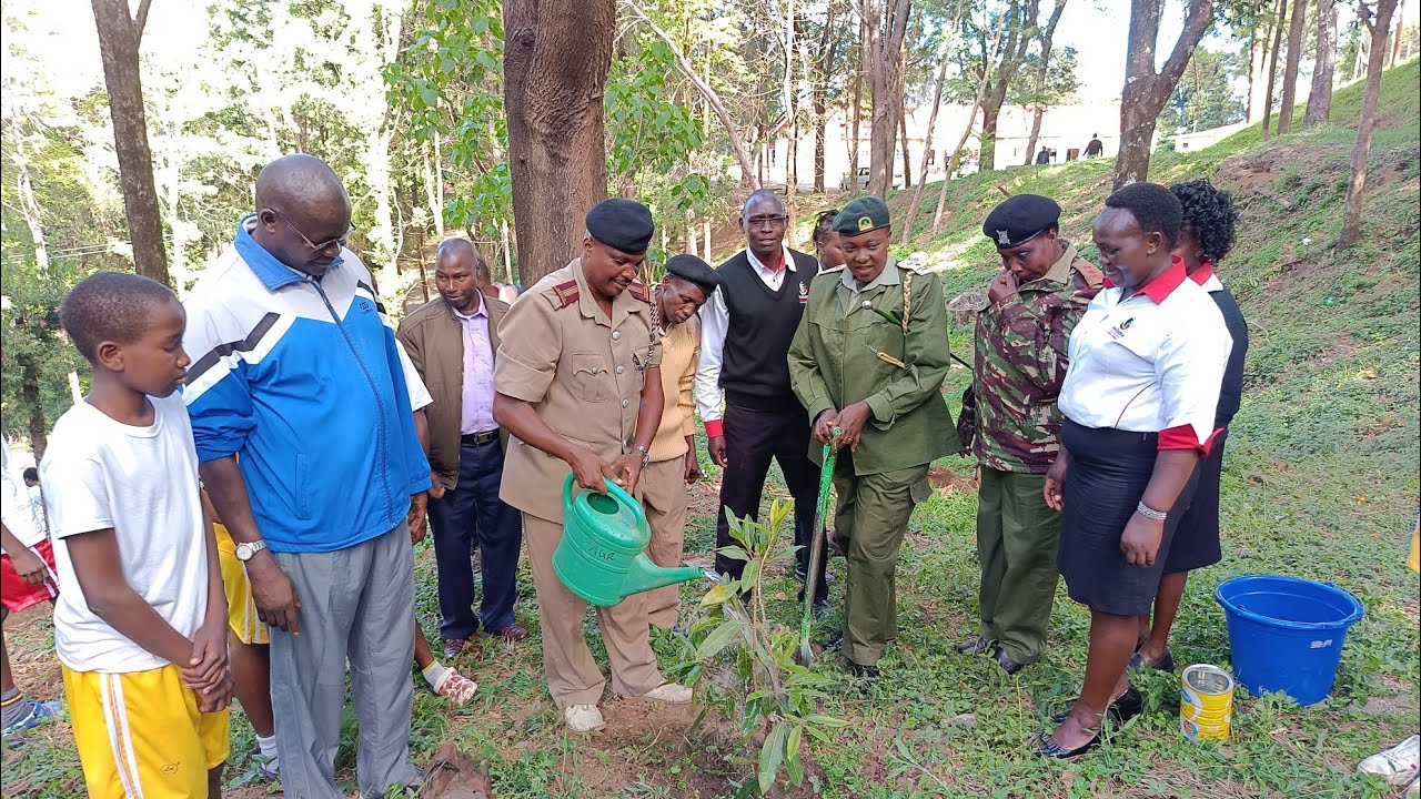 Sacho High & Sacho Junior Sec Continue with President Moi's Legacy of Making Kenya Green
