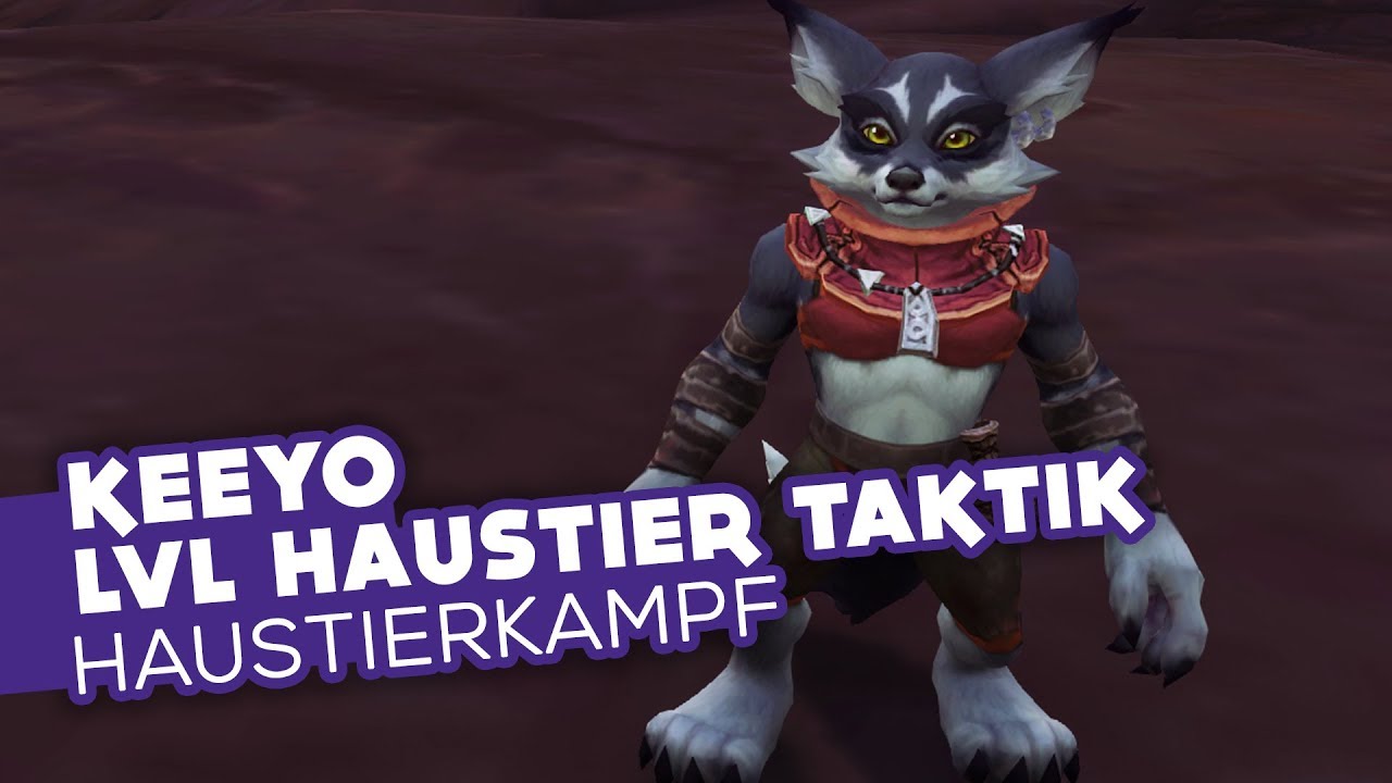 Keeyo | LVL Haustier Taktik (BFA Weltquest) - Haustierkampf Guide [WoW]