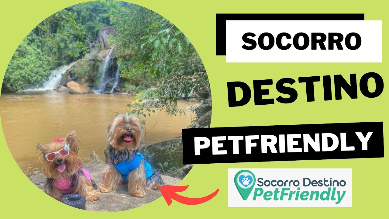 Socorro Destino PetFriendly