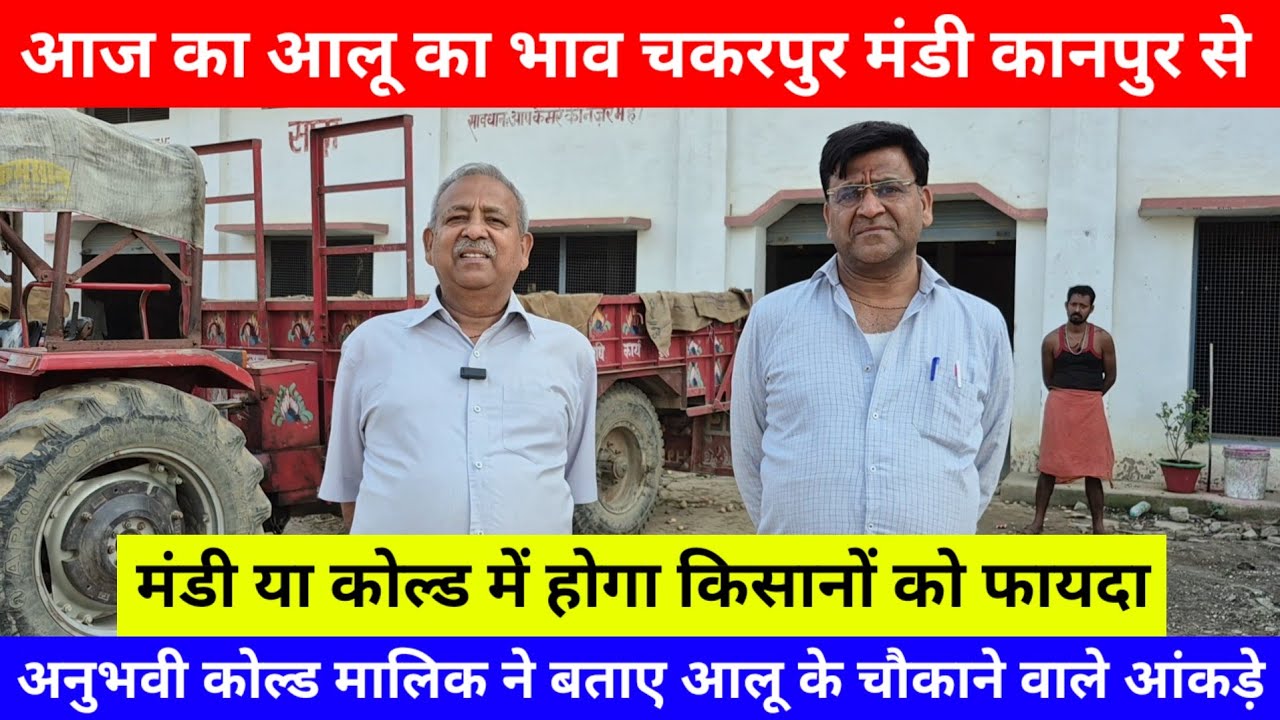 आज का आलू का भाव चकरपुर मंडी कानपुर से मंडी या कोल्ड में होगा किसानों को फायदा देखिये Aalu Ka Bhav