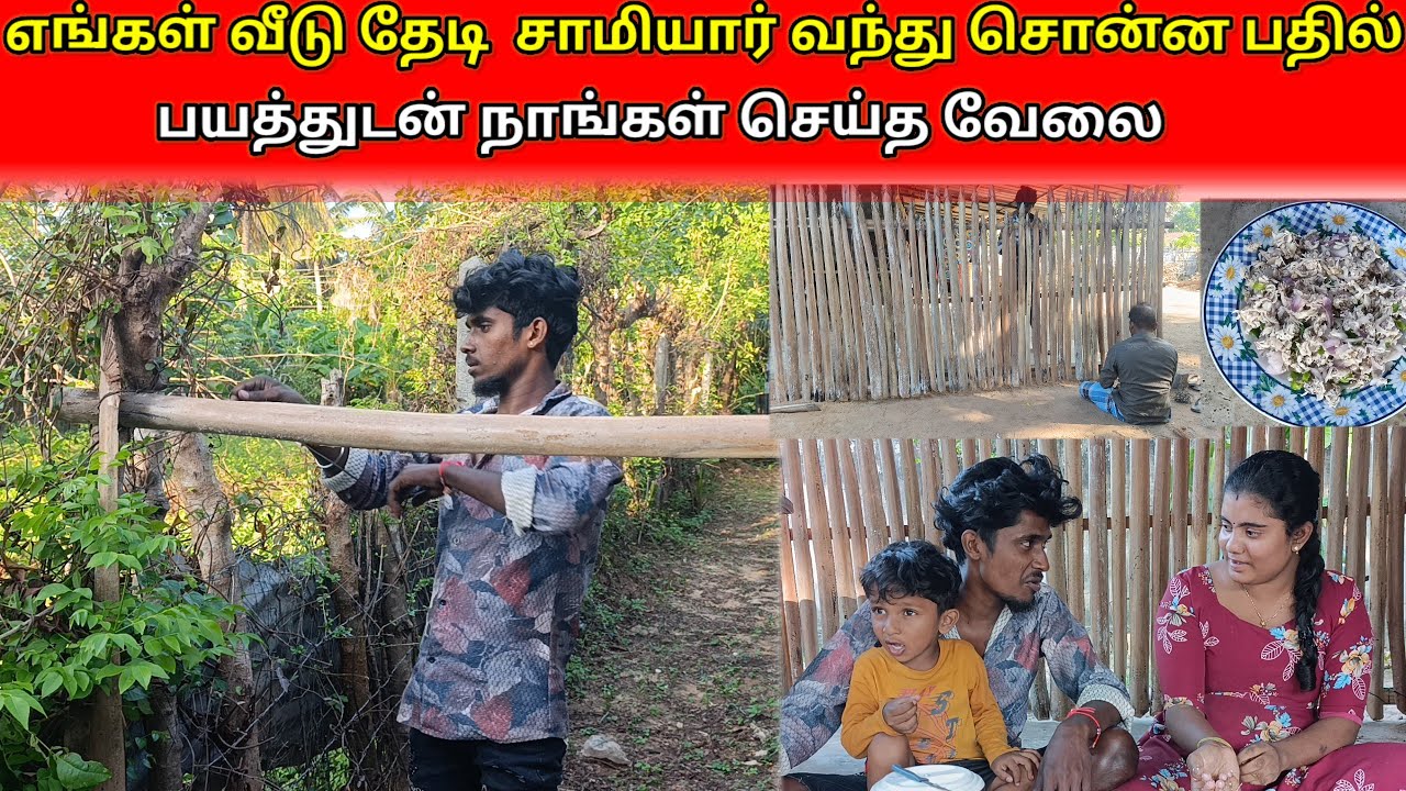 எங்கள் வீடு தேடி சாமியார் வந்து சொன்ன பதில் பயத்துடன் நாங்கள் செய்த வேலை /savlog