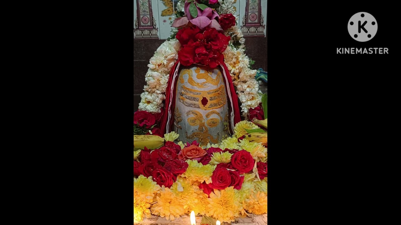 ప్రభుం ప్రాణ నాదం విభూం  విశ్వనాధం 🙏