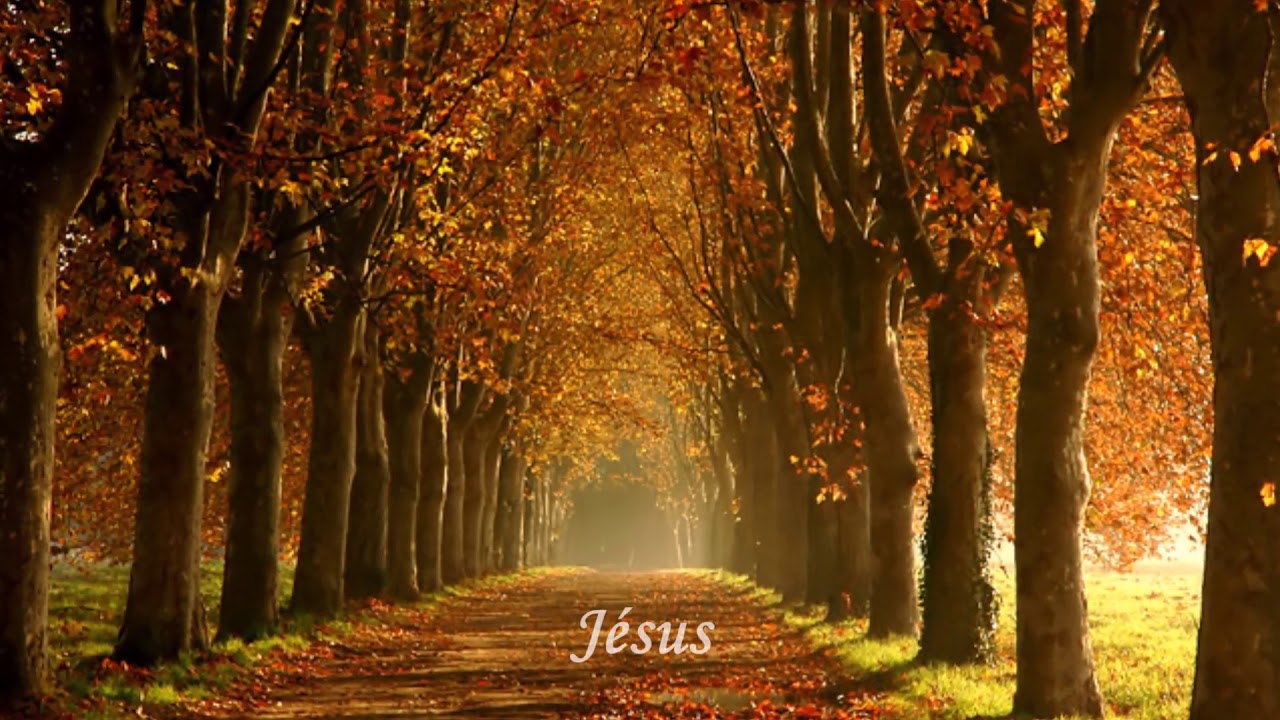 Jesus - Glorious