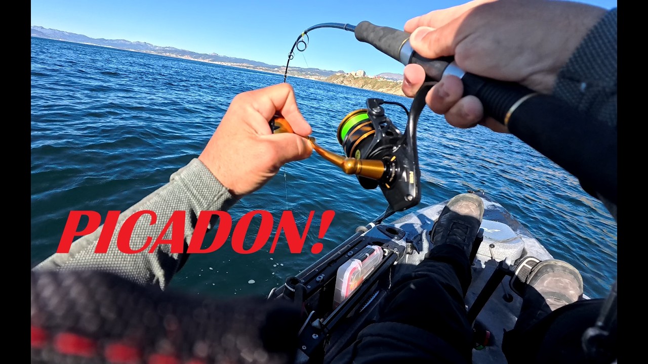 &iexcl;NO ME LO CREO! Las picadas m&aacute;s BRUTALES en Kayak! #pesca #fishing