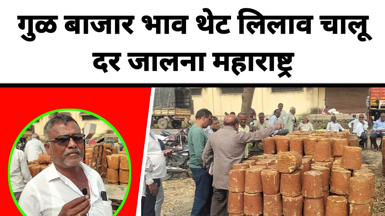 गुळ बाजार भाव थेट लिलाव चालू दर जालना महाराष्ट्र || जालना बाजार भाव