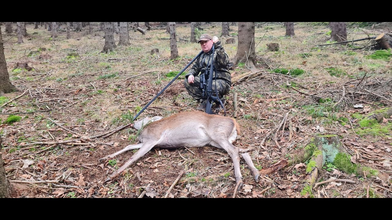 Sudecka Ostoja 51/2020. Polowanie na jelenie z podchodu. Deer Hunting in Poland.