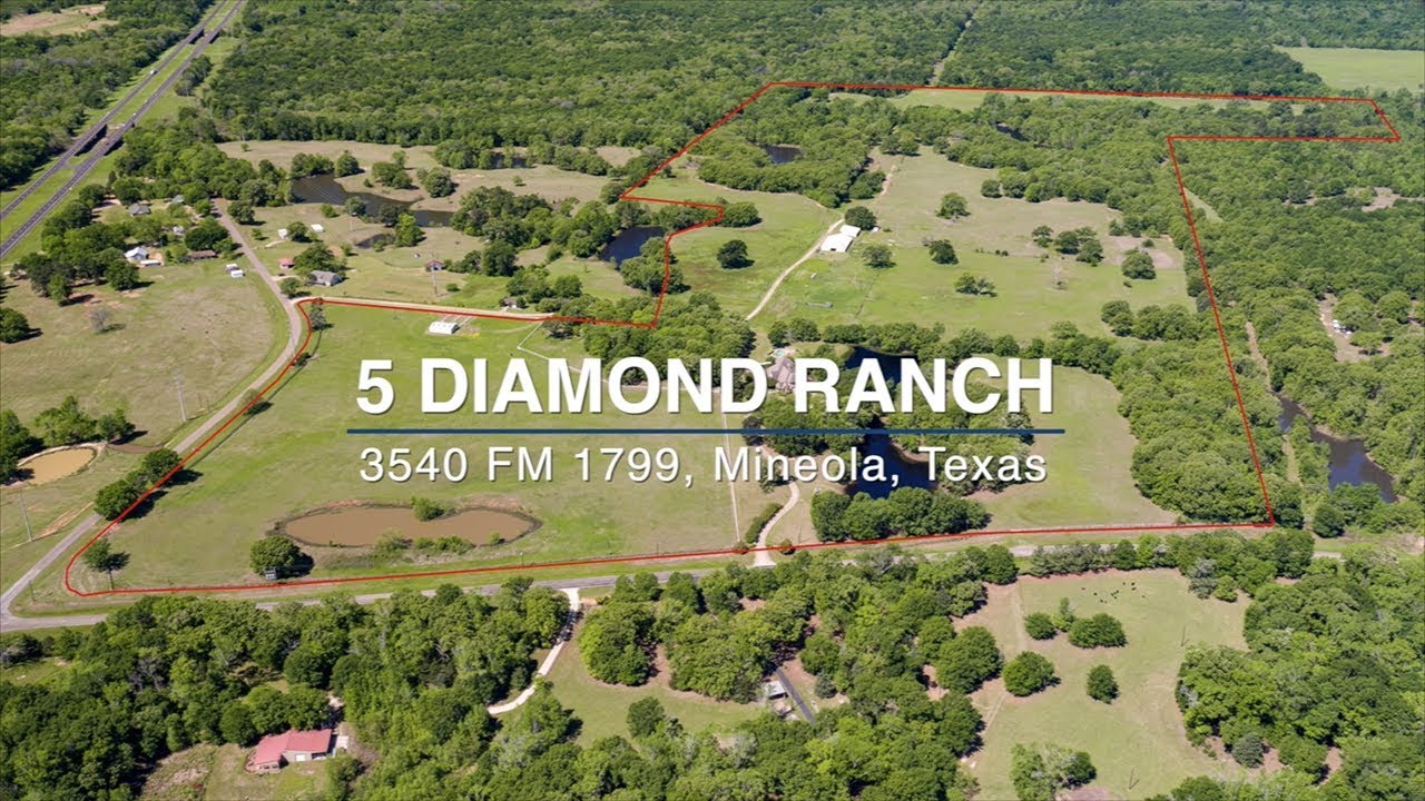 171 Acre Oasis in the Country Available in Mineola, Texas