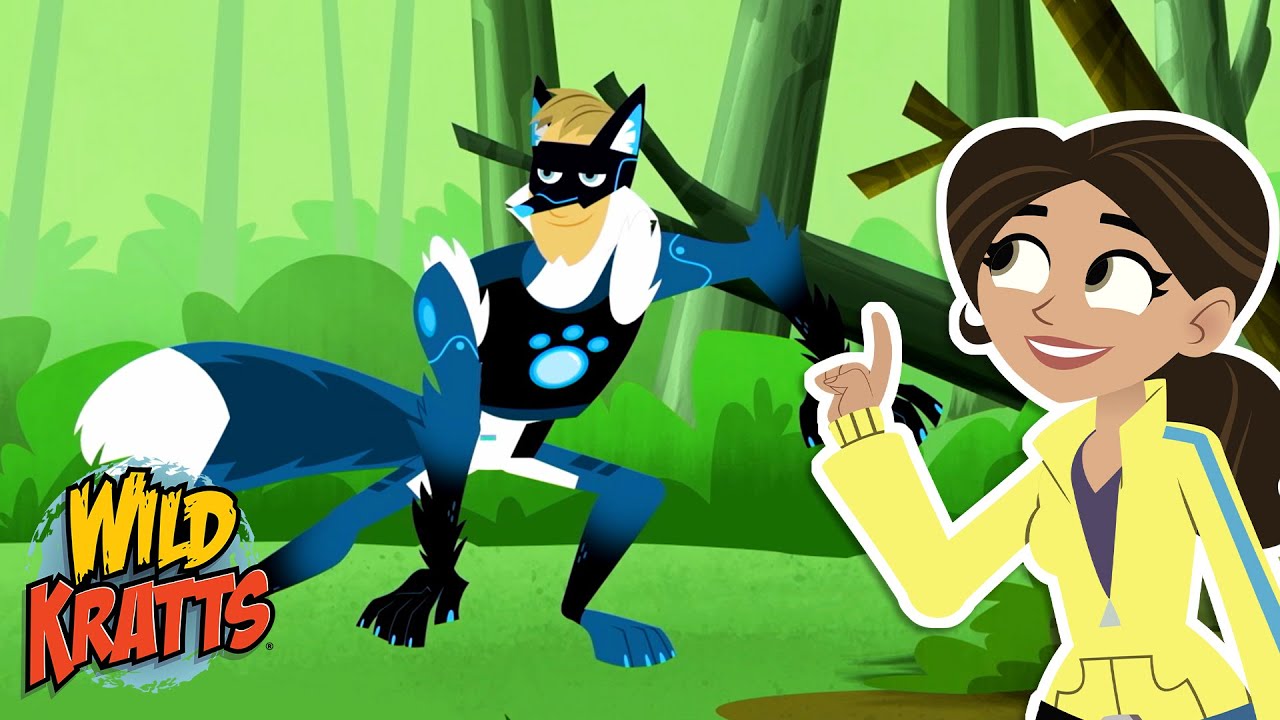 Activate Red Fox Powers | Rescuing Fox Pups from Gourmand | Season 7 | Wild Kratts