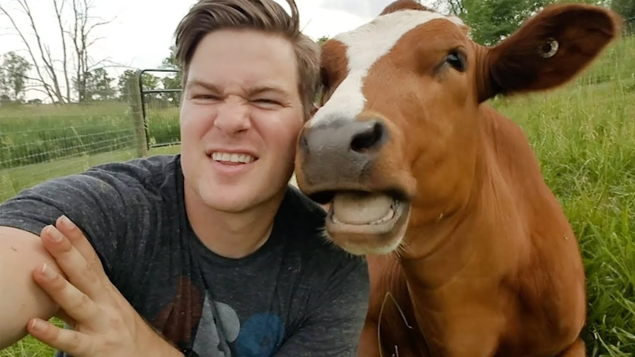 Did You Ever Hug a Cow? 35 Amazing Love Between Animals and Humans 💖