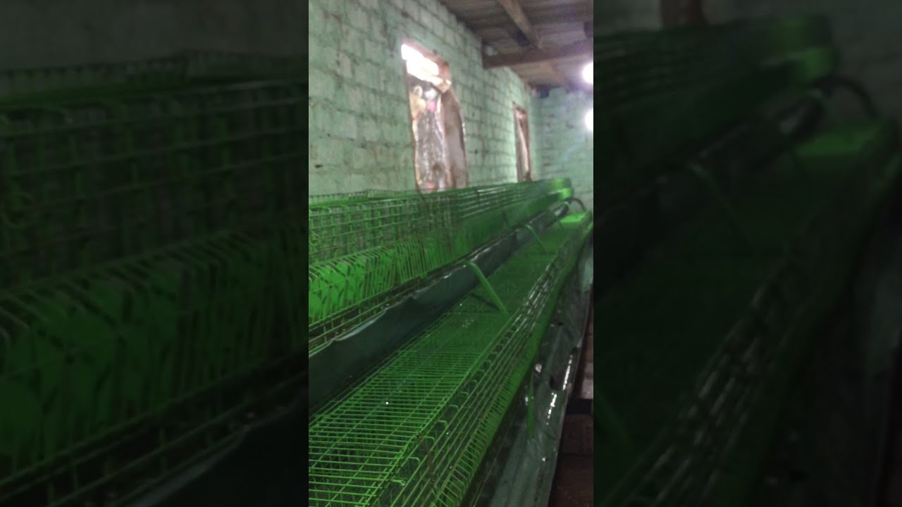 عمل صرف لبطاريات الأرانب الجزء التانى