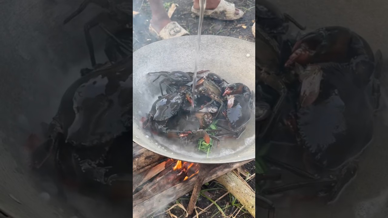 Обед из свежего краба: готовим живых крабов до совершенства 🦀🍲 | Простое блюдо из морепродуктов с...