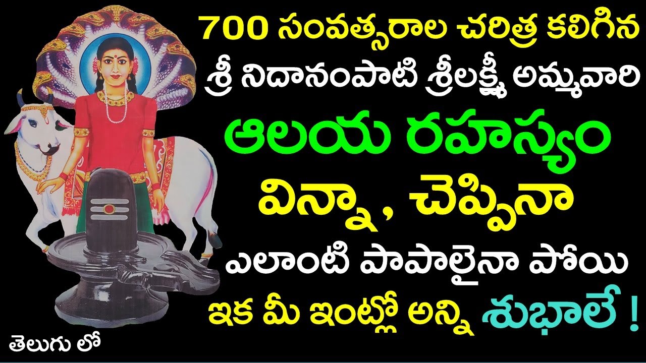 700 సం/ చరిత్ర కలిగిన శ్రీ నిదానంపాటి శ్రీలక్ష్మీ అమ్మవారి ఆలయ రహస్యం ! | Adigoppula Ammavari Temple