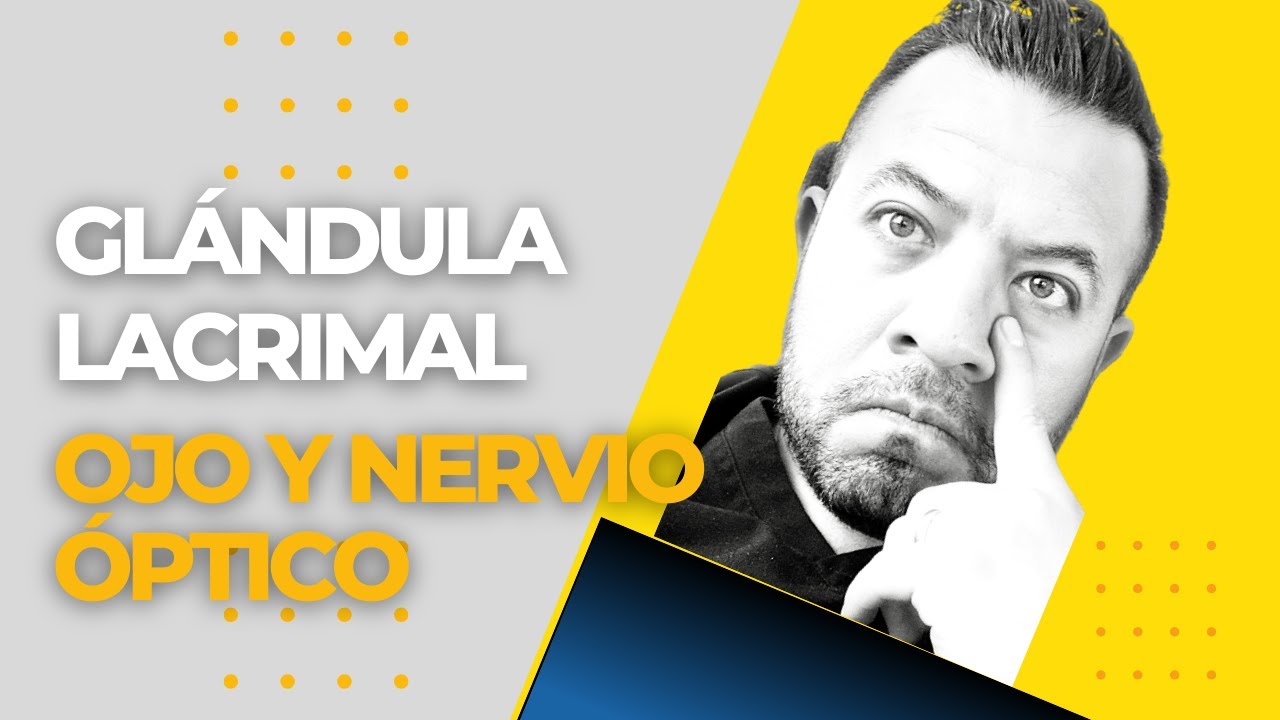 Glándula lacrimal, Ojo y Nervio Óptico