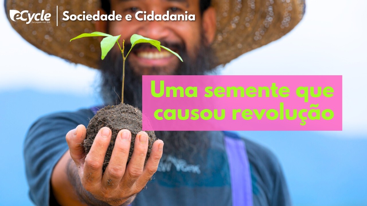 Como uma semente pode revolucionar sua cidade