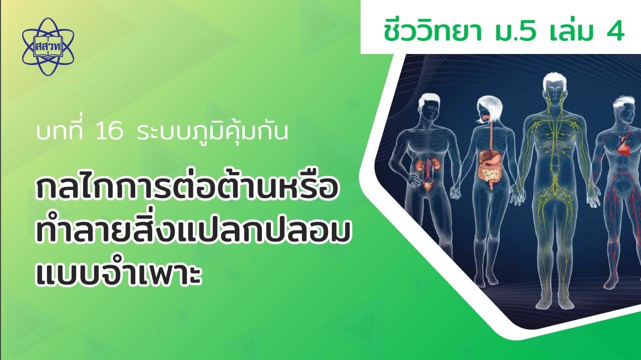 กลไกการต่อต้านหรือทำลายสิ่งแปลกปลอมแบบจำเพาะ (ชีววิทยา ม.5 เล่ม 4 บทที่ 16)