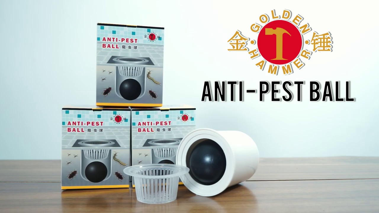 Golden Hammer Anti Pest Ball (Floor Trap To Prevent Pests Crawling Up)