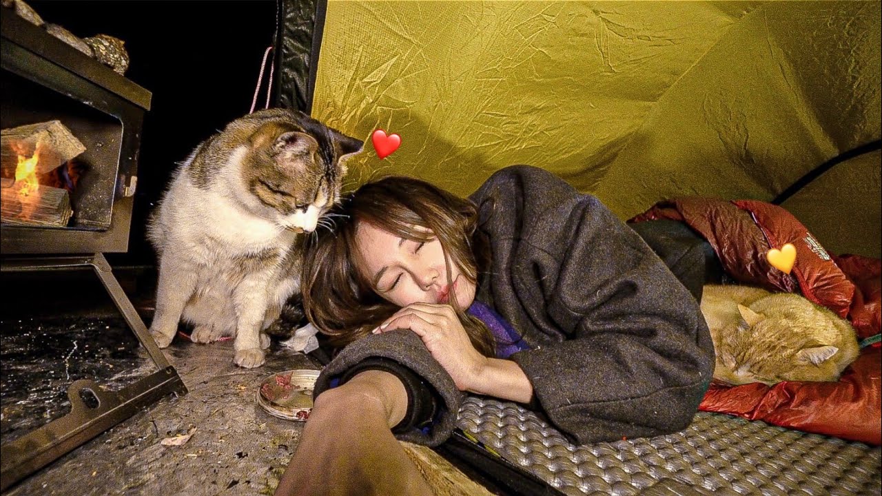 Зимний кемпинг в лесу был таким теплым / Салат с курицей и кейонезом / 2🐱+1👩 / Индивидуальный поход