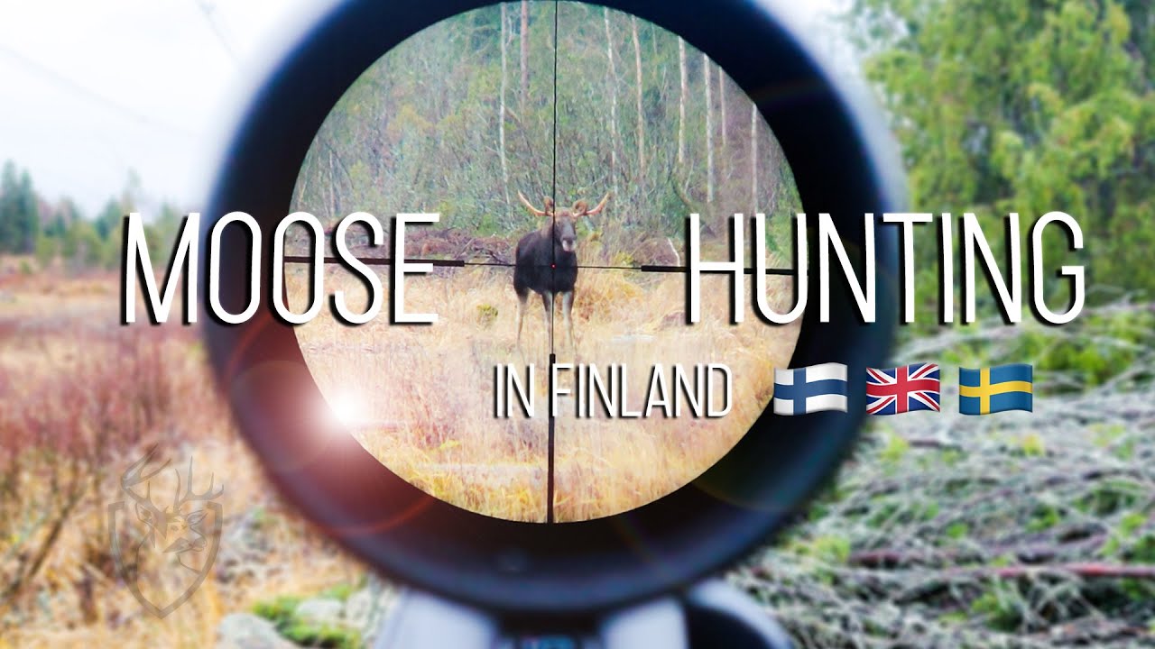 NH: Hirvijahti | Moose Hunting | 2021