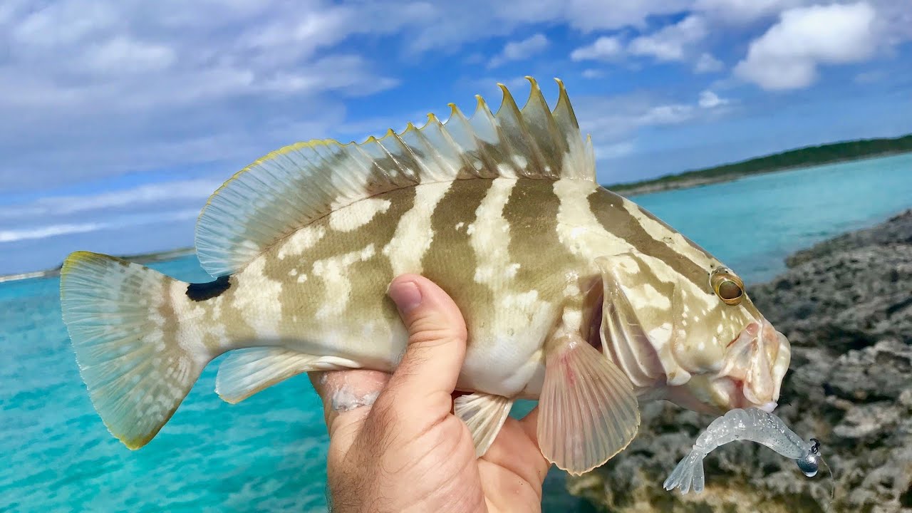 SO MANY FISH On This ISLAND! | Fishing From Shore for Reef Fish! |Sailing the Bahamas Pt14
