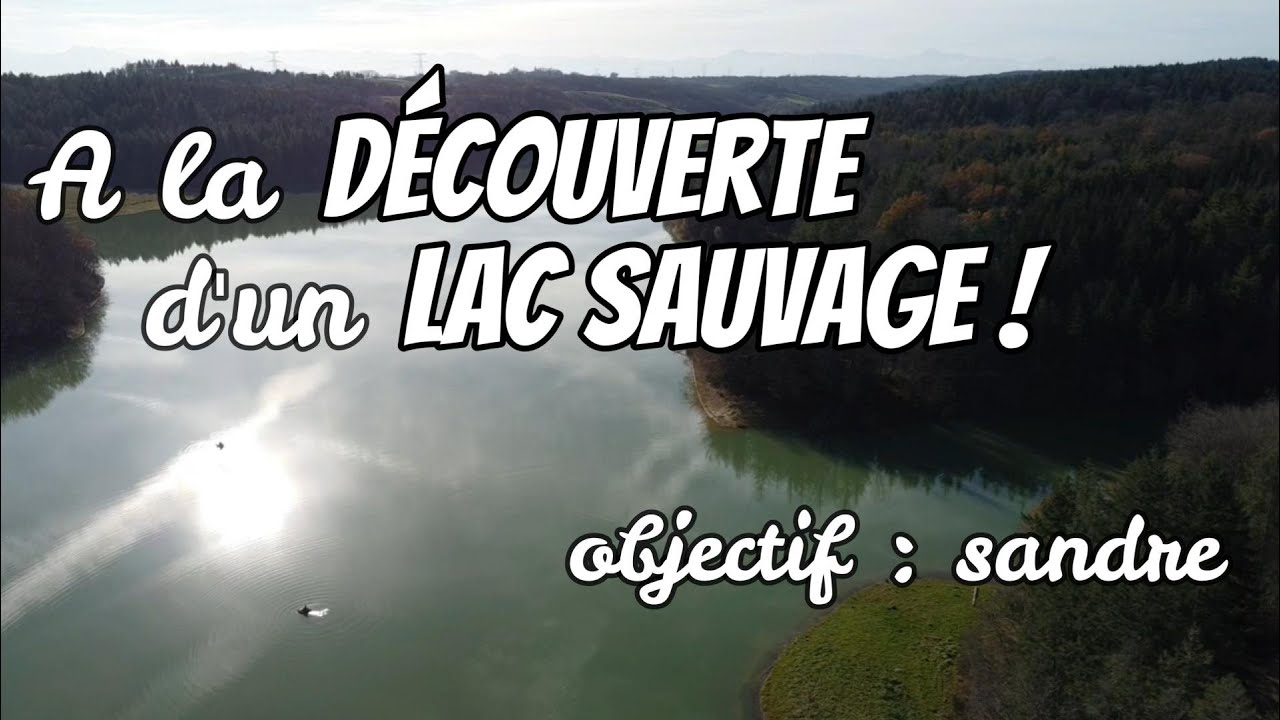 On pêche en VERTICALE un nouveau LAC SAUVAGE à la recherche des SANDRES pour la fermeture !