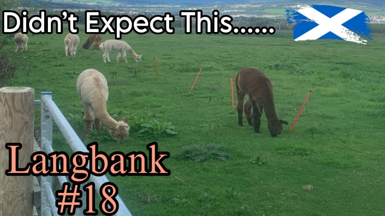 Exploring Langbank &ndash; A Hidden Surprise?