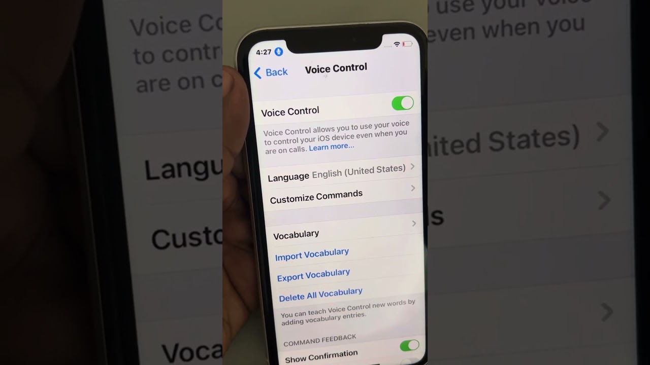 How to use voice control in iPhone