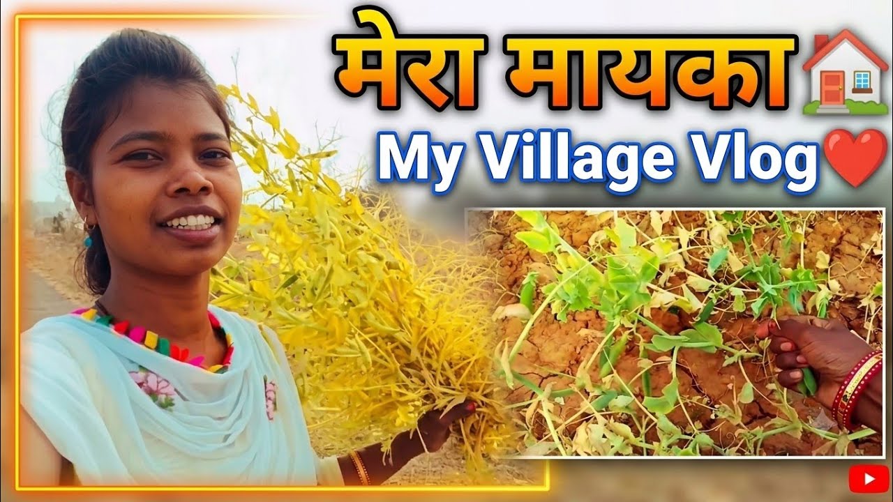 मेरा मायका Village Vlog 🥰 | Ho Vlog Video | New Vlog @ShyamReetaOfficial 