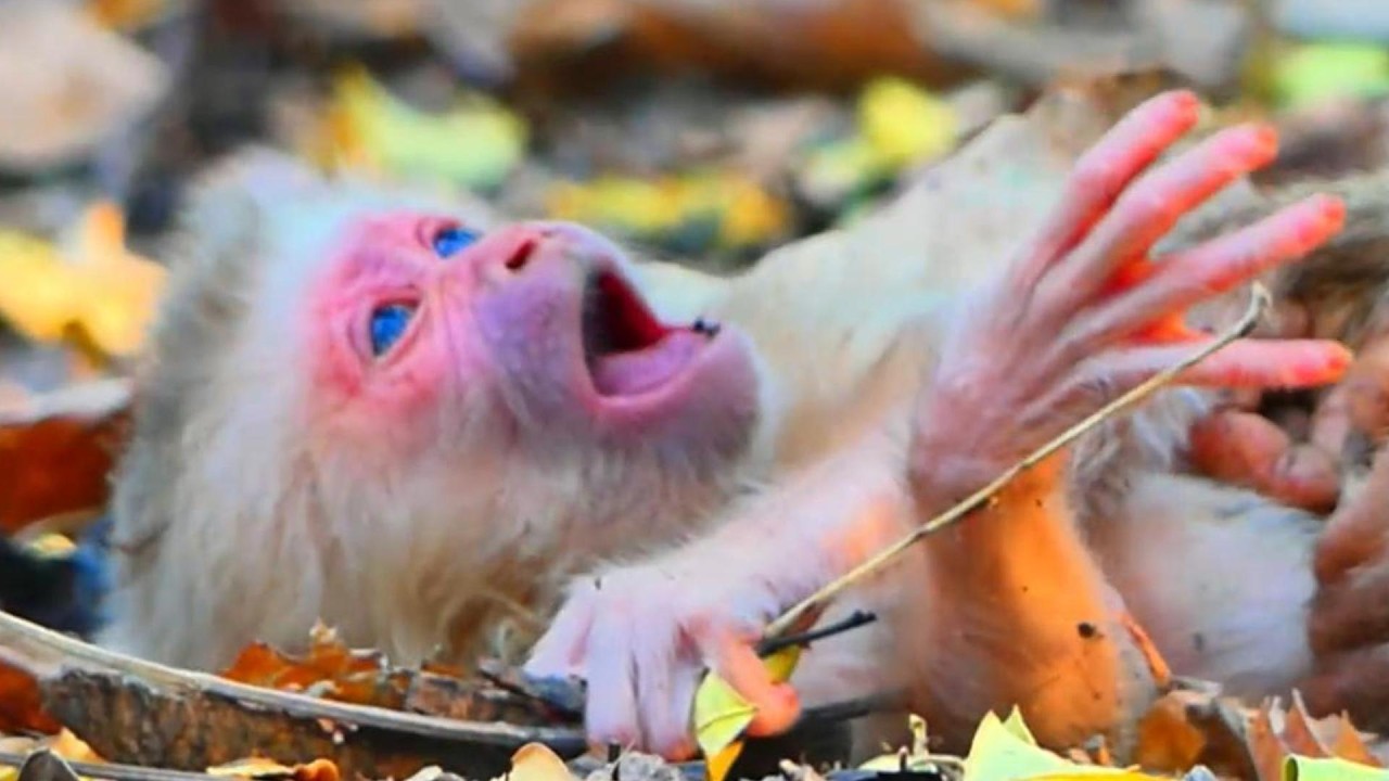 What Wrong Happen On Newborn...?